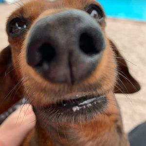 Meet your Posher, Sharron